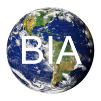 Brevet d'Initiation Aéronautique (BIA)